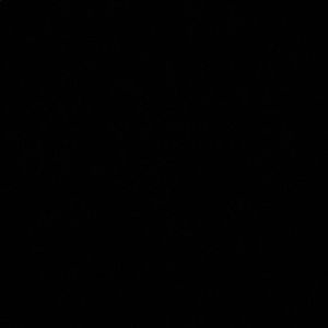 Meet your Posher, Winter